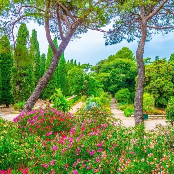 Visite guidée du jardin des plantes