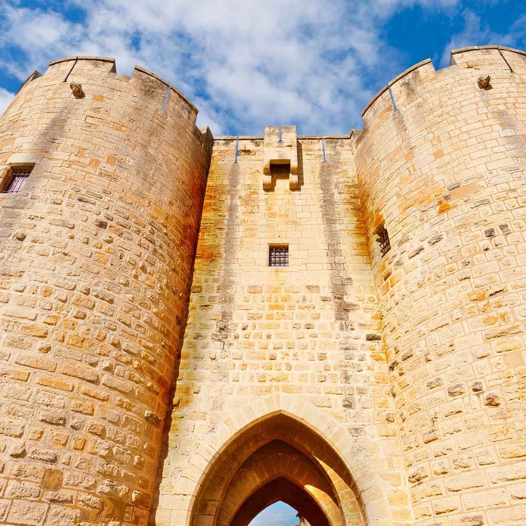 Excursion Aigues Mortes et balade au milieu des étangs - matin