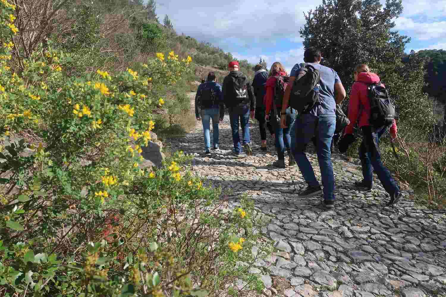 actividades deportivas 